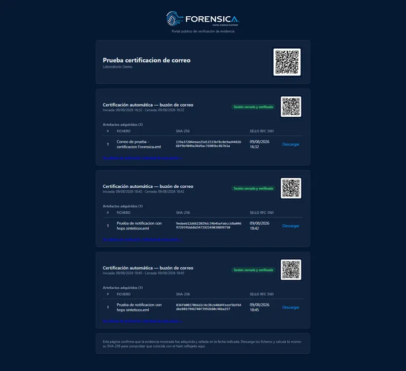 Portal público de verificación mostrando el detalle de un caso